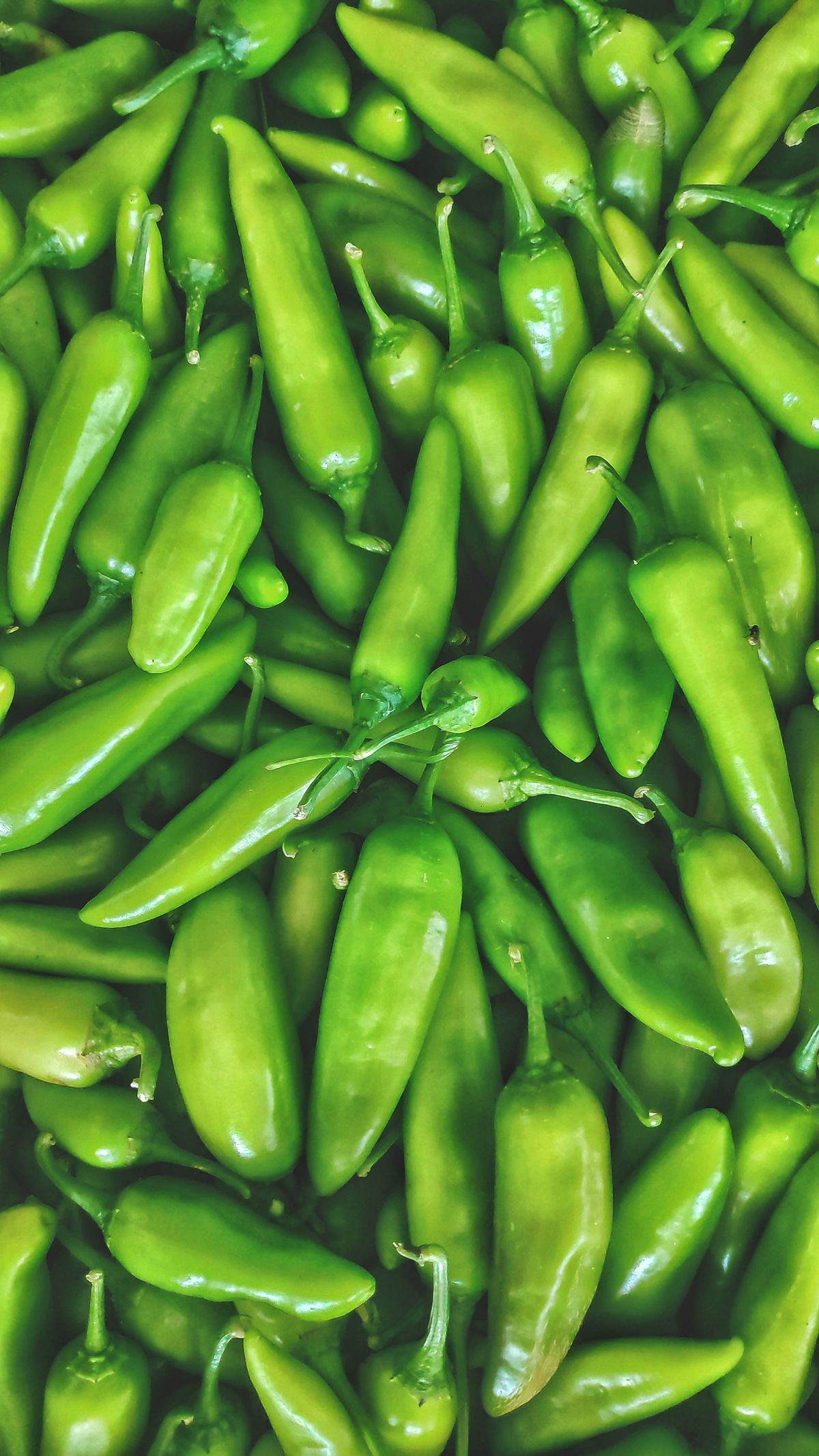 Fresh green chillies close up