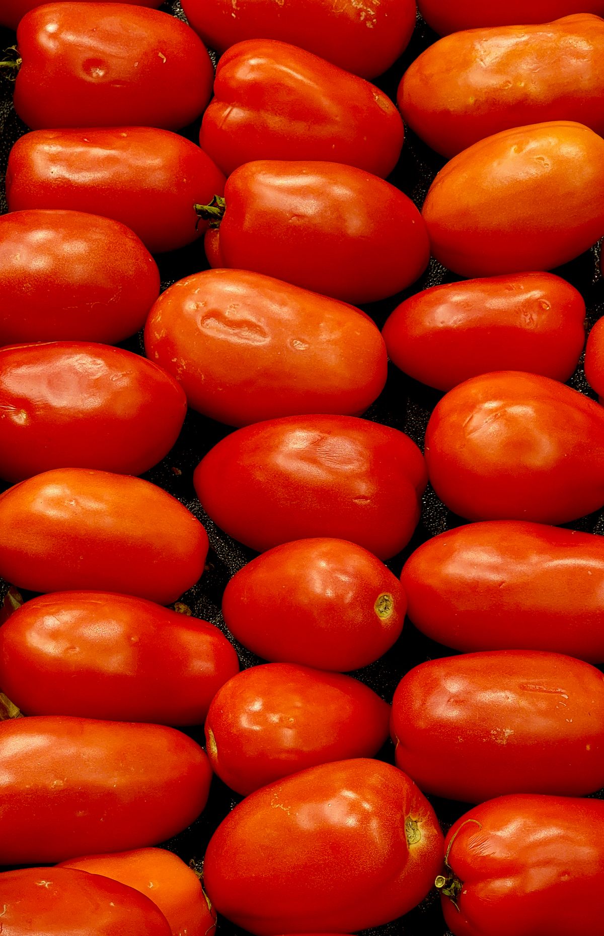 Fresh red tomatoes close up