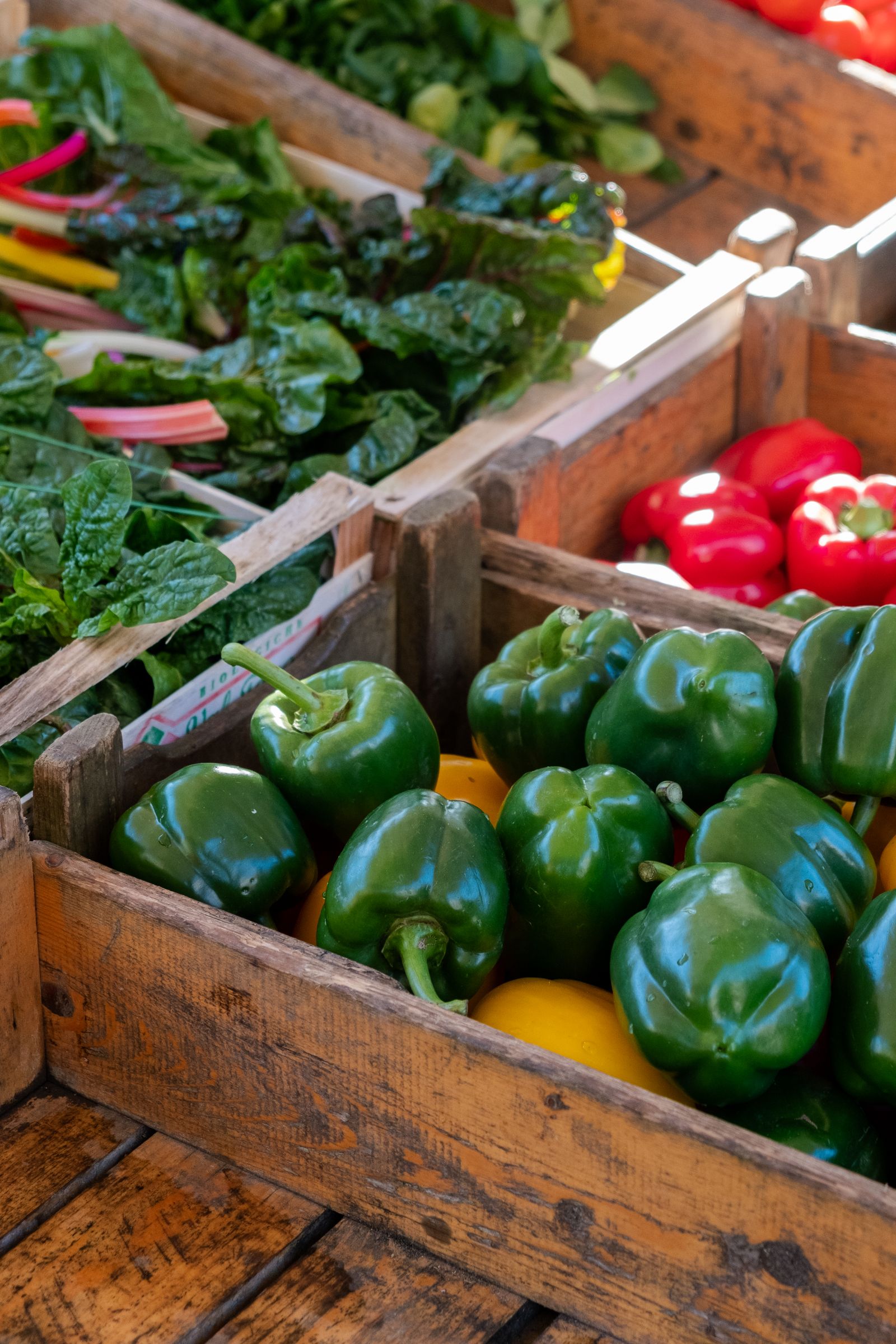 Mixed seasonal vegetables in crates